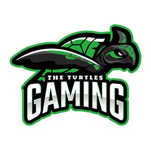THE TURTLES GAMING