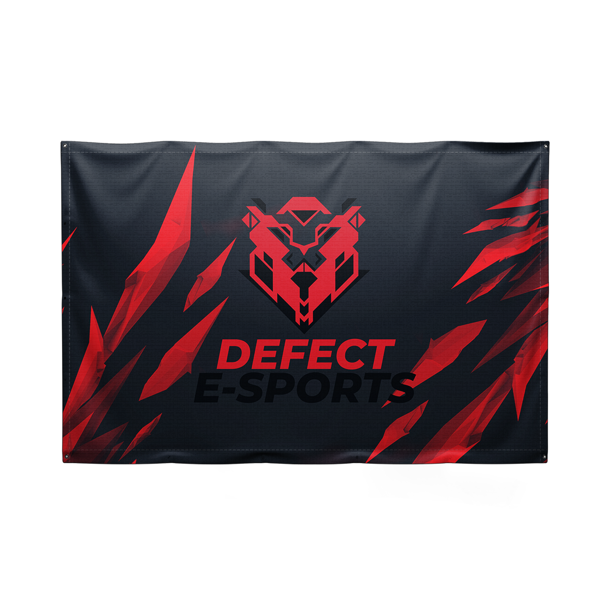 flagge-defect-esports-xoose-de